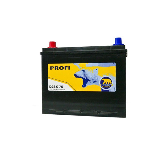 Baren Profi (575151) 75 A/h 640 A L+ 260x175x200 мм - 1