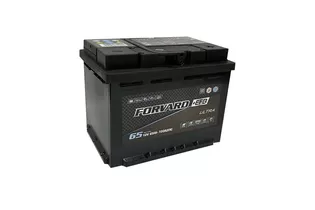 Forvard EFB Ultra 65 A/h 720 A R+ 242x175x190 мм - 2