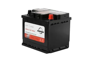 LEOCH AGM-L1 50 A/h 570 A R+ 207x175x190 мм - 3