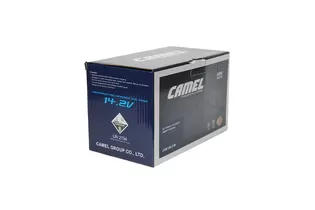 Camel AGM 80 A/h 800 A R+ 315x175x190 мм - 3