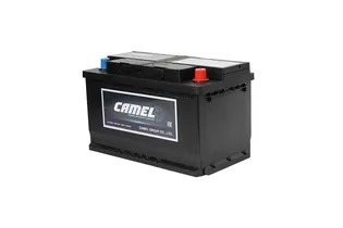 Camel AGM 80 A/h 800 A R+ 315x175x190 мм - 4