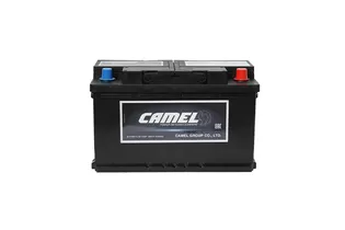 Camel AGM 80 A/h 800 A R+ 315x175x190 мм - 2