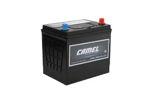 Camel EFB Q85L 60 A/h 610 A R+ 230x175x200 мм - 3
