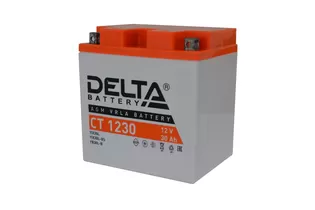 Delta AGM СТ 1230 30 A/h 300 A R+ 166x126x175 мм - 3