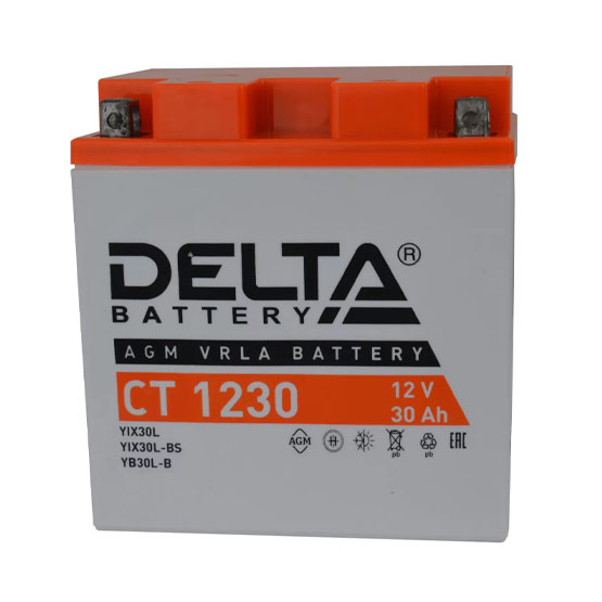 Delta AGM СТ 1230 30 A/h 300 A R+ 166x126x175 мм - 2