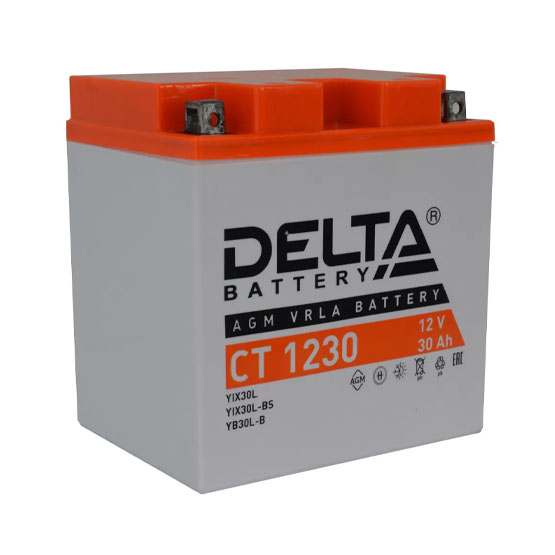 Delta AGM СТ 1230 30 A/h 300 A R+ 166x126x175 мм - 1
