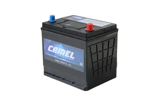 CAMEL Asia 75D23L 65 A/h 590 А R+ 230x171x220 мм - 3