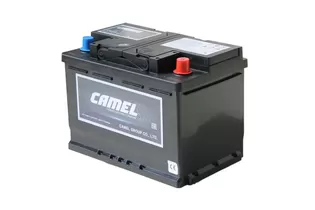 Camel EFB LN3 70 А/h 700 А R+ 278x175x190 мм - 3