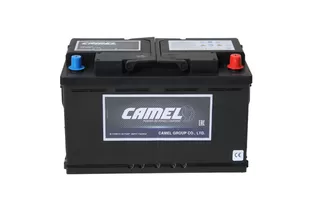 Camel EFB LN5 92 A/h 800 A R+ 353x175x190 мм - 2