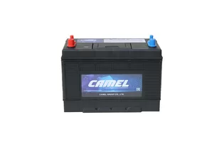 CAMEL DC31 106 A/h 800 A L+ 330x172x245 мм - 2