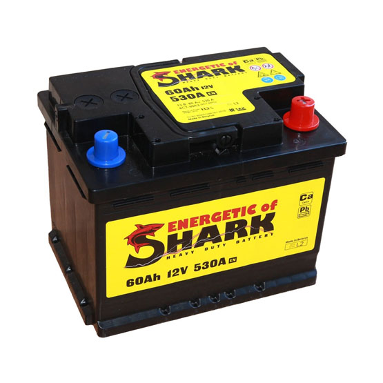 Shark 60 A/h 530 A R+ 242х175х190 мм - 1