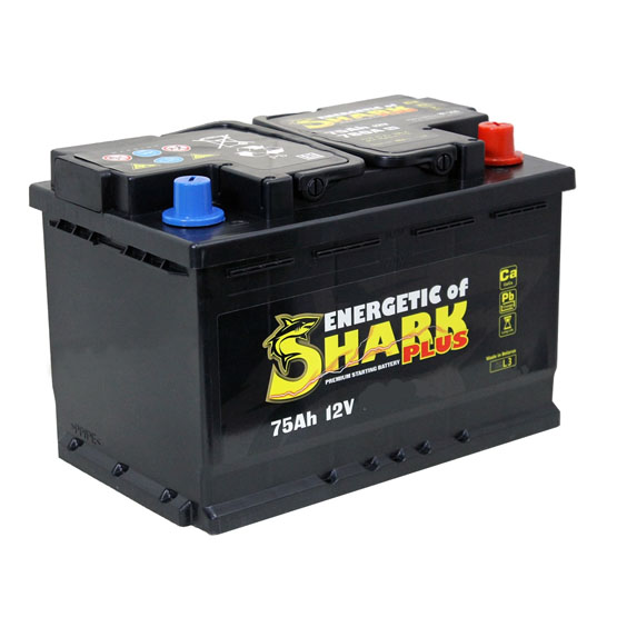 Shark Plus 75 A/h 680 A R+ 278x175x190 мм - 1