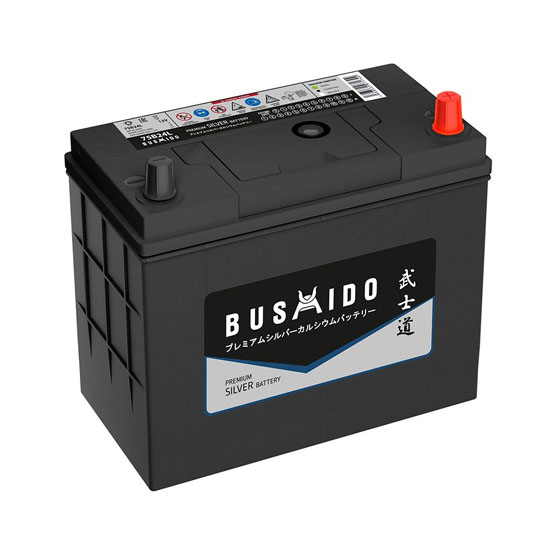 Bushido Silver 75B24L 59 A/h 550 A R+ 238x128x200 мм - 1