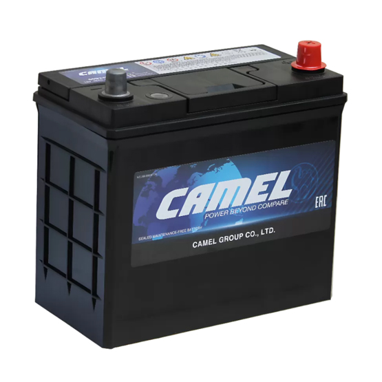 Camel Asia 60B24L 48 A/h 430 A R+ 238x128x220 mm - 1