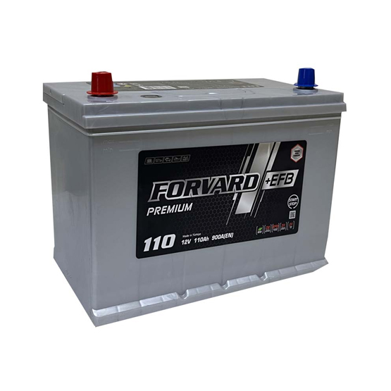 Forvard EFB Asia 110 A/h 900 A L+ 310x175x220 мм - 1