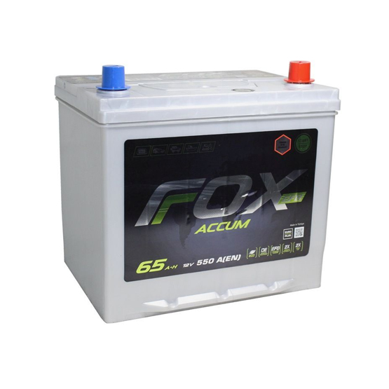 Foxaccum EFB Asia 65 A/h 550 A R+ 230x175x220 мм - 1